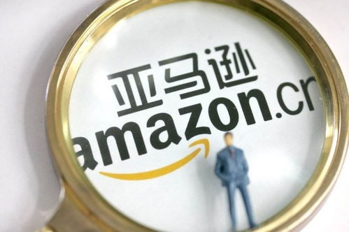 跨境电商无货源模式 ERP系统、亚马逊店群与个人商务服务的融合之道